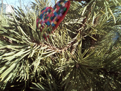 Aufnahme Frontkamera