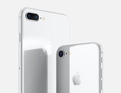 Das iPhone 8 könnte schon bald ein Update bekommen. (Bild: Apple)