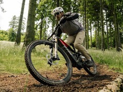R.EX: E-Mountainbike mit DJI-Motor (Bildquelle: Rotwild)