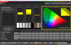 CalMAN ColorChecker kalibriert (OLED)