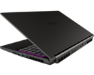 Schenker XMG Neo 15 Gaming-Laptop im Test - RTX 3080 mit 165W TGP sorgt für Highscores