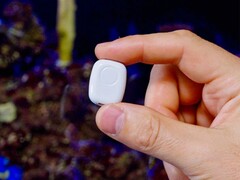 The Pill by Shelly ist jetzt in Europa erhältlich (Bildquelle: Shelly)