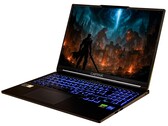 Core i7, GeForce RTX 5060, 32 GB RAM, 1-TB-SSD, 2.5k-Panel: Captiva Advanced Gaming I95. (Bild: Captiva)
