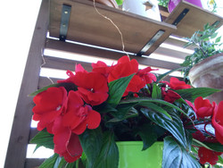 Aufnahme Frontkamera