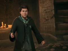 Fans fürchten, dass ihr Charakter in Hogwarts Legacy 2 im Schatten von Harry Potter stehen könnte. 