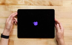 Das neue 12,9 Zoll iPad Pro ist mit einem spannenden Mini-LED-Display ausgestattet. (Bild: iFixit)
