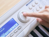 Das Casio LK-550 Keyboard
