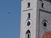10-facher Zoom