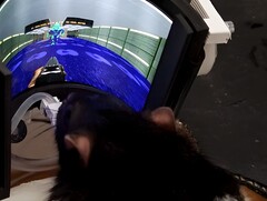 Ratte spielt Doom (Bildquelle: https://ratsplaydoom.com/)