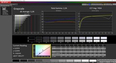 Graustufen linkes Display