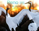 Oppo Reno: Weitere Fotos zeigen Bildqualität der 48-MP-Kamera.