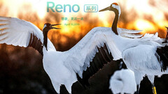 Oppo Reno: Weitere Fotos zeigen Bildqualität der 48-MP-Kamera.