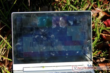 Im direkten Sonnenlicht