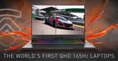 Eluktronics setzt auf ein handelsübliches Panel von BOE, künftig dürften deutlich mehr Gaming-Notebooks mit ähnlichen Displays ausgestattet sein. (Bild: Eluktronics)
