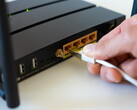 Netzwerkkabel wird in einen Router gesteckt