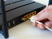 Netzwerkkabel wird in einen Router gesteckt