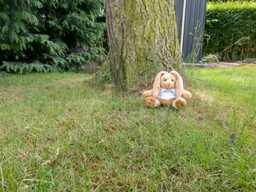 HTC U12+ Standardweitwinkel