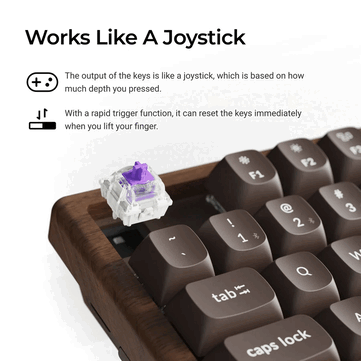 Keychron K8 HE All-Wood Special Edition