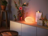 Die Philips Hue Flourish Tischleuchte