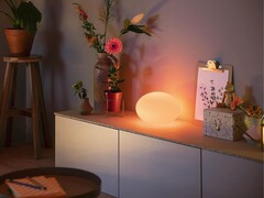 Die Philips Hue Flourish Tischleuchte