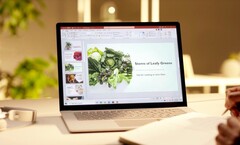 Der Microsoft Surface Laptop 4 ist jetzt schon ab 769 Euro erhältlich. (Bild: Microsoft)