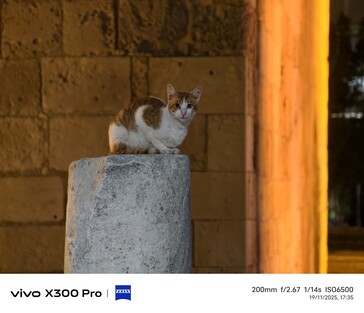 Vivo X300 Pro 200mm mit Tele-Konverter.