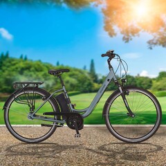 Aldi bietet zwei E-Bikes an