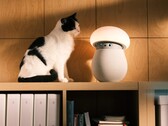Der Begleitroboter OAK Mori für zu Hause schenkt Menschen Aufmerksamkeit und hilft ihnen, sich ruhiger, entspannter und stärker verbunden zu fühlen.