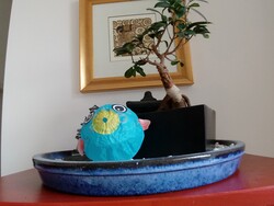 Aufnahme Frontkamera