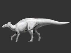 Der Edmontosaurus annectens ist der erste bekannte Dinosaurier mit Hufen. (Bildquelle: Science.org)