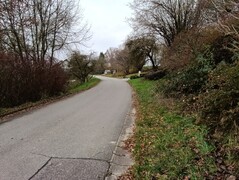 Aufnahme mit der Hauptkamera