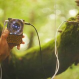 Pocket Scion erzeugt Musik auf Basis der elektrischen Aktivität von Pflanzen. (Bildquelle: Instruō)