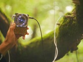 Pocket Scion erzeugt Musik auf Basis der elektrischen Aktivität von Pflanzen. (Bildquelle: Instruō)