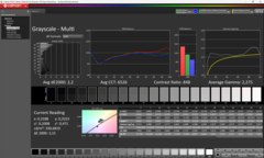 Calman Graustufen - unkalibriert mit eingestelltem Weißpunkt