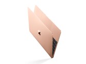 Die Gerüchte rund um ein günstigeres 12 Zoll MacBook verdichten sich. (Bild: Apple)
