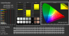 CalMAN ColorChecker (Referenzfarbraum sRGB)
