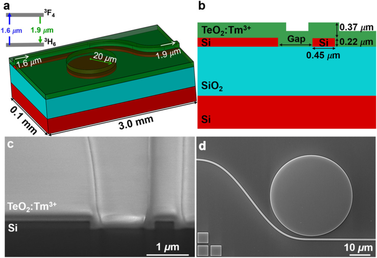 Schematische Darstellung des Lasers [Quelle: Lasing in a Hybrid Rare-Earth Silicon Microdisk]