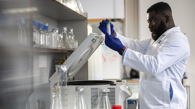 Das Startup Brilliant Planet will mit biotechnologischen Verfahren zur Kompensation von CO₂ beitragen (Bild: Brilliant Planet)