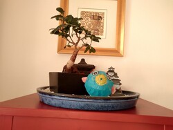 Aufnahme Frontkamera