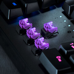 Clicky Purple Switch