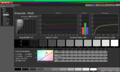 Graustufen vor der Kalibrierung (sRGB)