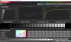 Graustufen (volle Helligkeit)