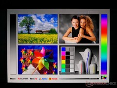 Große Betrachtungswinkel. Rainbow color shifting bei extremen Winkeln ist das Erkennungszeichen eines OLED-Panels.