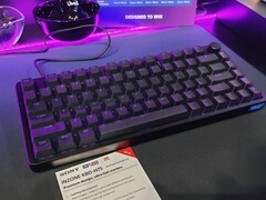Sony bietet ab sofort auch eine Tastatur und eine Maus an (Bildquelle: Notebookcheck)