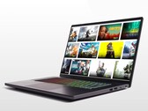 Ausgewählte Chromebooks haben nun Zugriff auf über 50 Steam-Spiele. (Bild: Google)