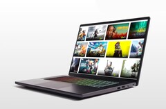 Ausgewählte Chromebooks haben nun Zugriff auf über 50 Steam-Spiele. (Bild: Google)
