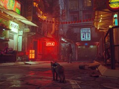 Stray ist auf Steam noch bis zum 3. Juni um 50 Prozent reduziert.