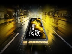 Die Lexar Thor Ultra ist eine extrem schnelle PCIe 5.0 SSD