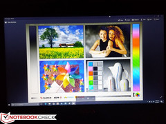 Eingeschränkte Blickwinkel