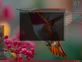 Besgnulinux 4-0 Desktop